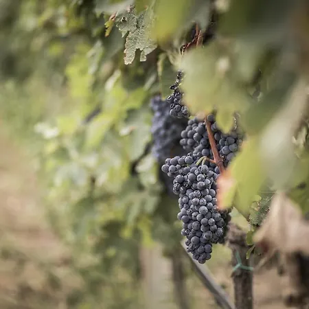 Gospodarstwo agroturystyczne Il Giriatello Crotone