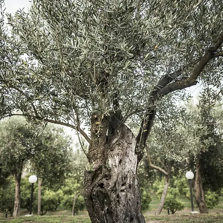 Il Giriatello Farm stay