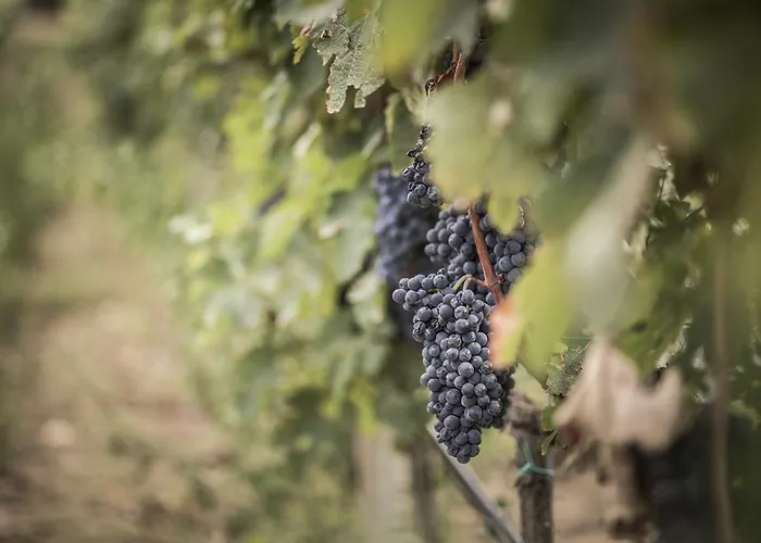 Bauernhof Il Giriatello Crotone