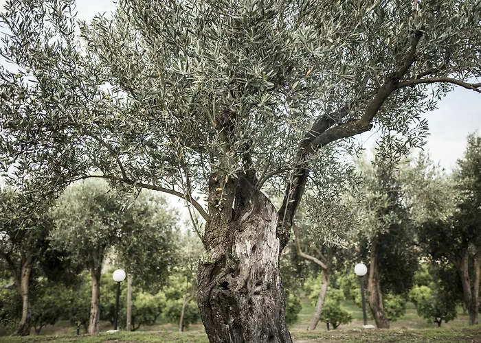 Il Giriatello Bauernhof